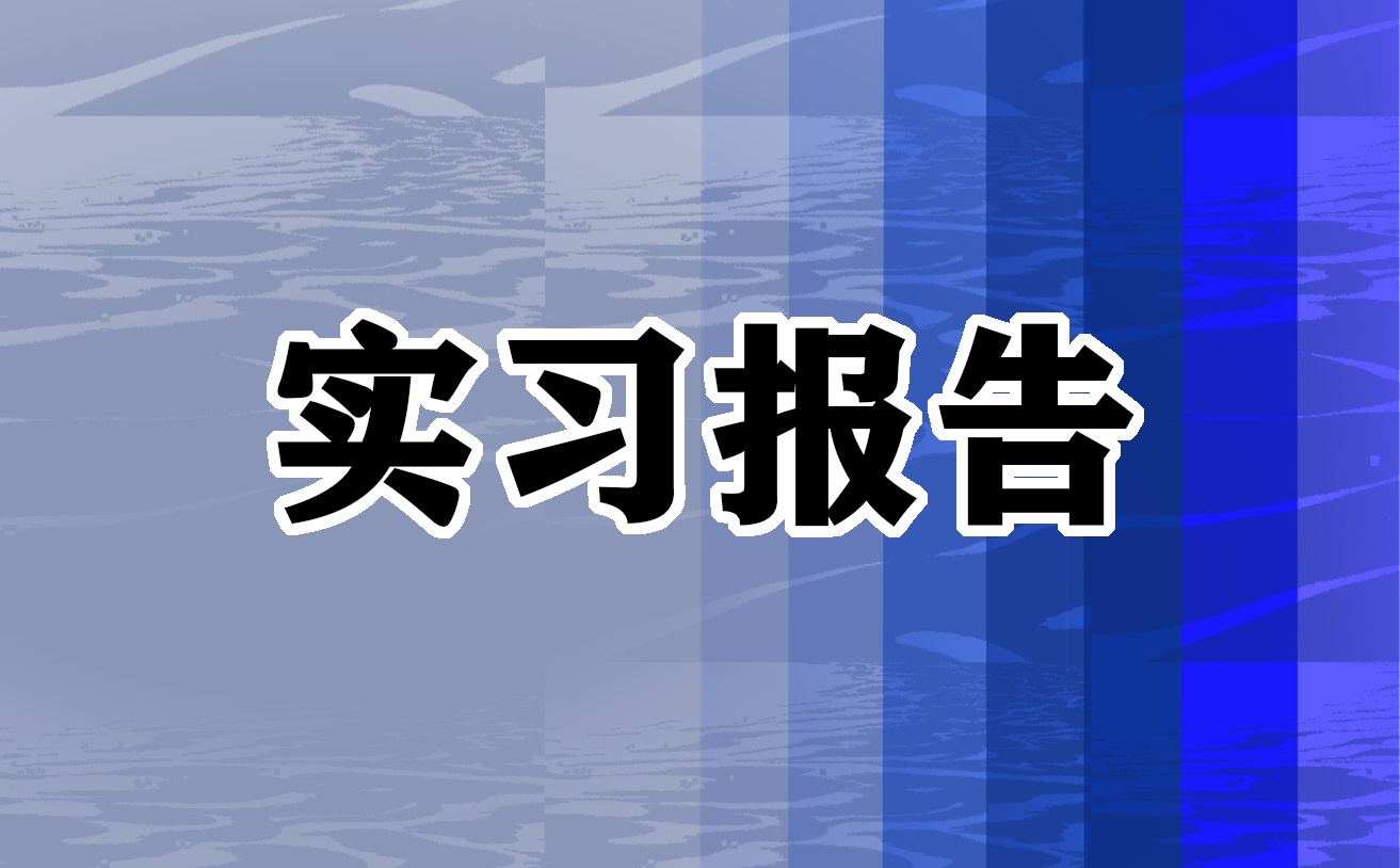 实习生月度工作总结