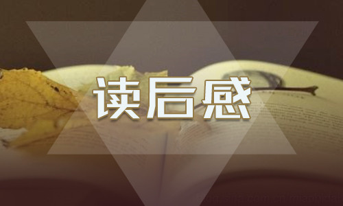 堂吉诃德读书心得感想600字