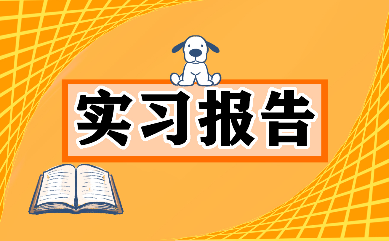 实习报告的心得体会与总结