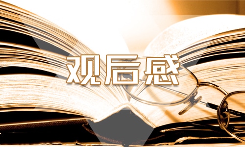 2023“点亮青年理想之灯”活动观后感作文10篇