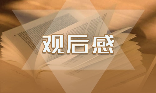 《我本是高山》观后感及感言15篇